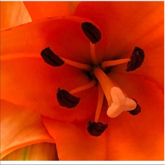 Love the life you live - Picture 2 of 2